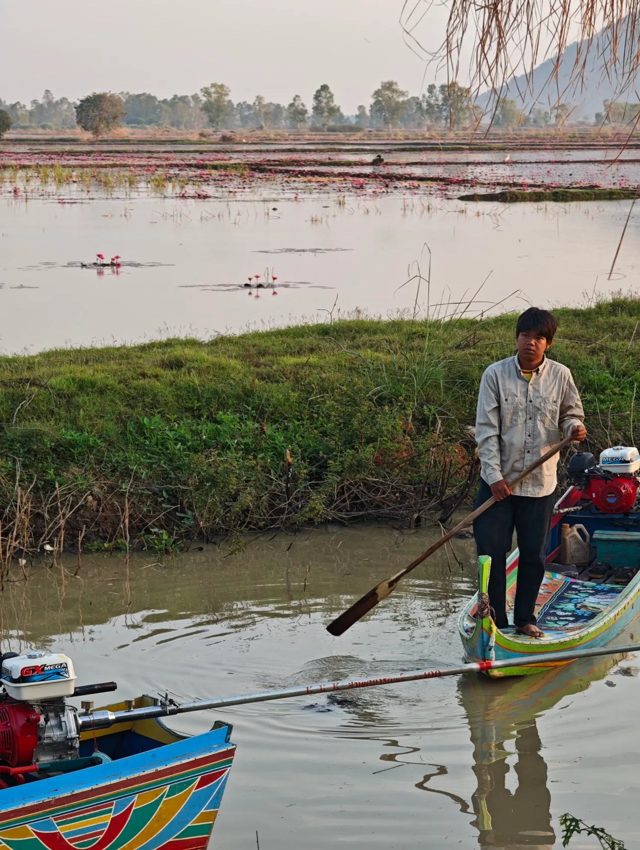 we took a boat out over the lake, staring in a rice paddy and cruising through a field of lotuses