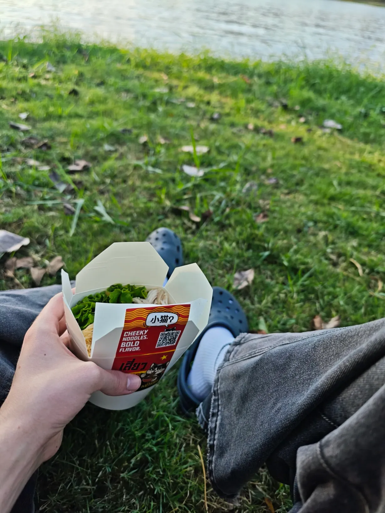 chilling in the grass on the banks of the lake nong somboon with some food